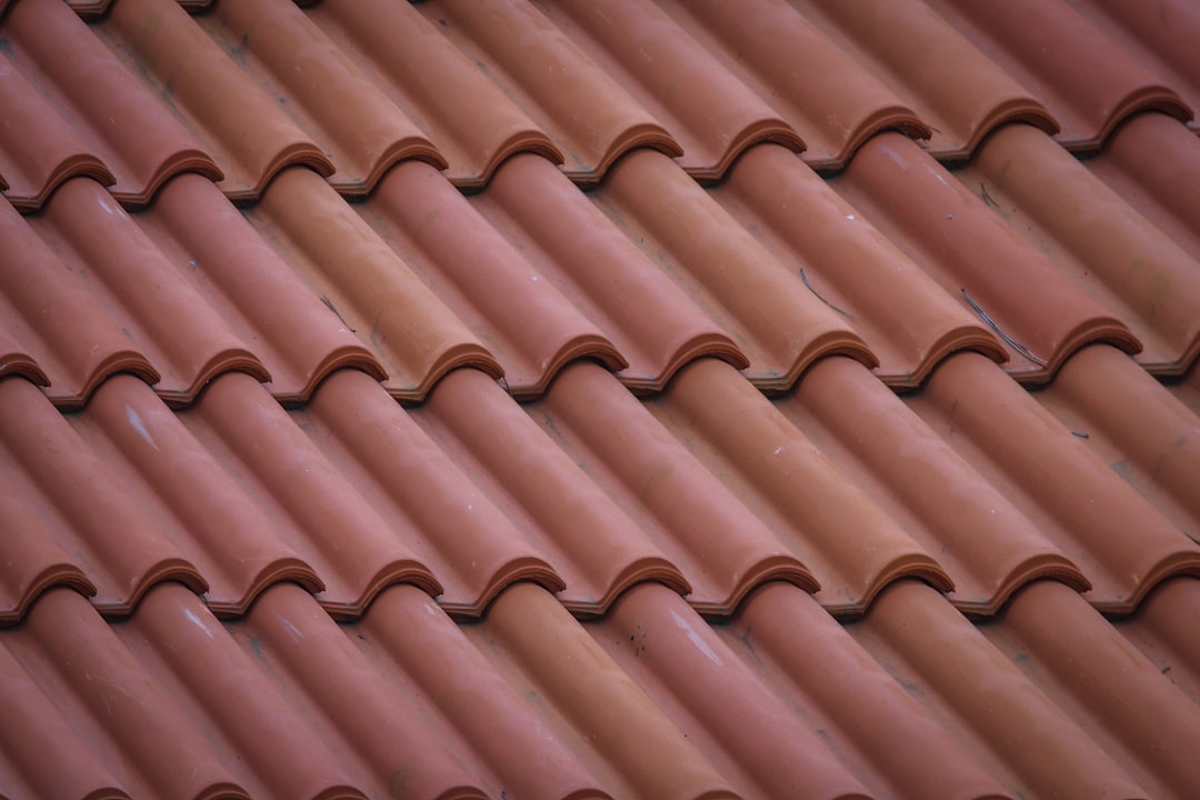 portfolio-06 brown-roof-tiles-in-close-up-photography-oppoyfhg11q