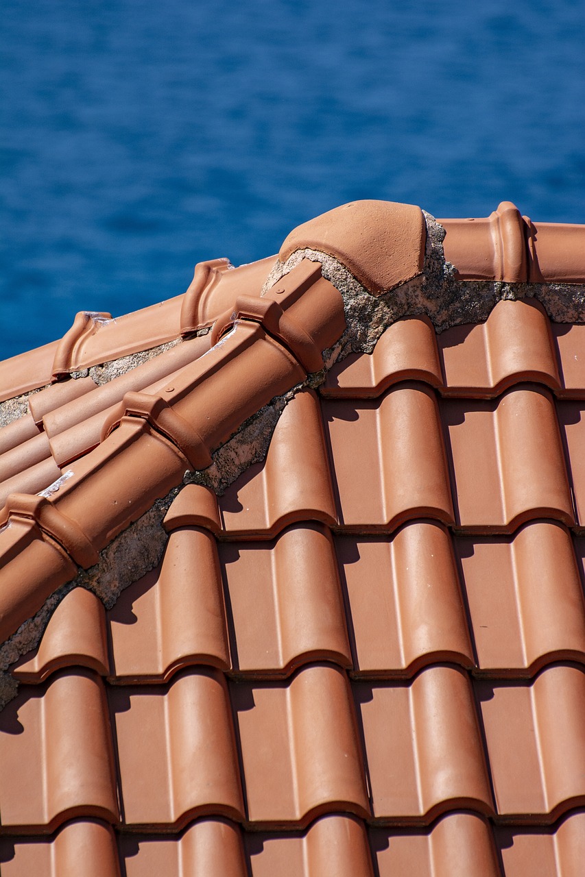 portfolio-02 roof, roofing, house, property, attic, wall, roofing, roofing, roofing, roofing, roofing, attic